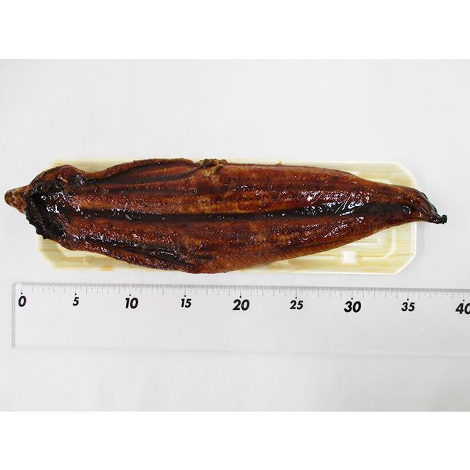”うなぎ蒲焼” 約380〜400g前後×3pc 中国産 ウナギ 鰻 有頭腹開 送料無料