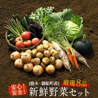 安心・安全の熊本県御船町産 厳選8品目 安心・安全の新鮮野菜セット 《30日以内に順次出荷(土日祝除く)》