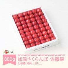 早出しさくらんぼ(佐藤錦 化粧箱入)L玉以上300g