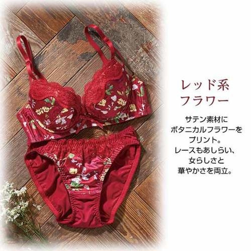 Lingerie by GeeRA 【AA65M～C80L】【新色追加】プチプラブラ＆ショーツセット パープル レディース | LINEブランドカタログ