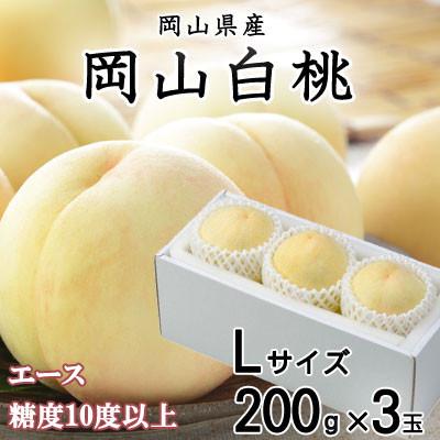 ふるさと納税 岡山市 岡山白桃 エース 3玉×200g(Lサイズ )岡山県産