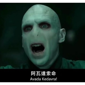 哈利波特阿瓦達索命金屬貼 高質感 超好看 金銀兩色 哈迷必備貼紙