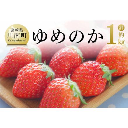 ふるさと納税  宮崎県産 いちご 「 ゆめのか 」 270ｇ×4パック  宮崎県川南町