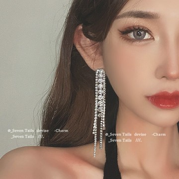 輕奢閃鉆流蘇耳環女年新款潮高級設計感氣質長款耳墜耳飾