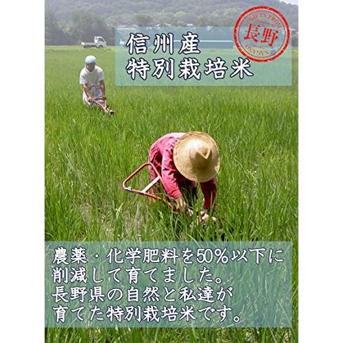 新米 信州産 特別栽培米 ミルキークイーン 10kg（5kg×2） 令和5年産 《受注精米》 米 お米 コメ 長野県 信州ファーム荻原