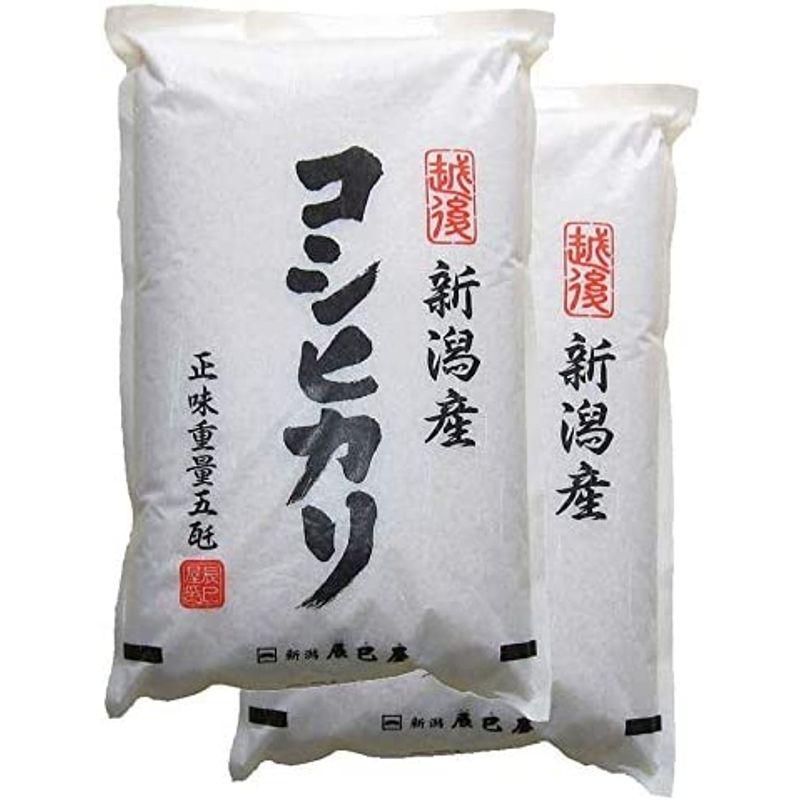 精米新潟県産コシヒカリ 白米 10kg（5kg×2袋）令和3年産 新潟辰巳屋（産地直送米）… (10kg)