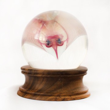 透明標本 魟魚水晶球 實木調 經典款