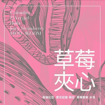 『船鼻子』哥倫比亞 薇拉省 繁花莊園 草莓特殊發酵 厭氧處理 精品咖啡 單品咖啡 熟豆
