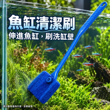 PJ小舖｜魚缸清潔刷 青苔刷 水族刷 水族箱 長柄刷 清潔刷 魚缸刷刷子 水族器具 水族配件