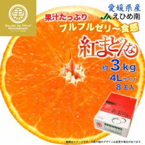 [予約 12月1日-12月30日の納品] 紅まどんな 約3kg 4Lサイズ 愛媛県 JAえひめ中央 化粧箱 冬ギフト お歳暮 御歳暮