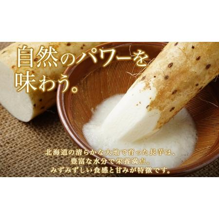 ふるさと納税 北海道 倶知安町産 長芋 2L×約6本 計5kg 春堀り 芋 ながいも とろろ 新鮮 フレッシュ 野菜 農作物 産直 山芋 麦とろ 山かけ.. 北海道倶知安町