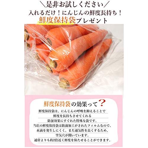 青森期待の新人商店 無農薬にんじん 5kg 国産 有機栽培 ジュース用 人参 鮮度保持袋セット