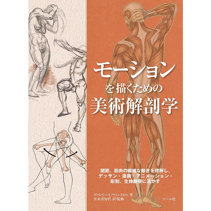 モーションを描くための美術解剖学