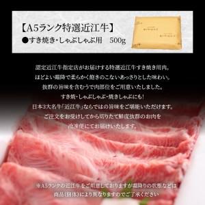 ふるさと納税 A5ランク 特選近江牛すき焼き・しゃぶしゃぶ用　500g入 滋賀県守山市