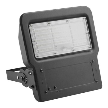 EVERLIGHT 億光 星宇投光燈 鐵殼 50W  白光  1件