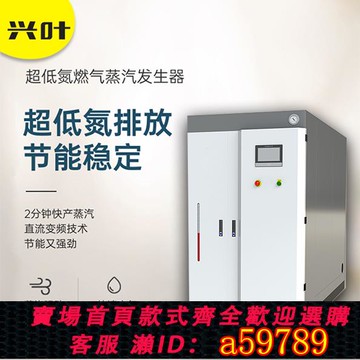 【廠家直銷 可打統編】超低氮燃氣蒸汽發生器蒸汽鍋爐殺菌商用天然氣全自動工業蒸汽鍋爐