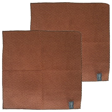 UdiLife 優的生活大師 百研 強效去汙清潔布 顏色隨機  30 x 30cm  2條