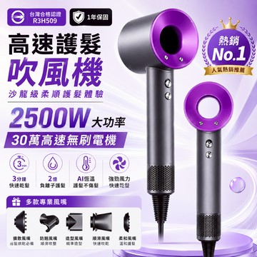 安全認證🏆在台現貨 負離子護髮吹風機 某森同款級別 吹風機 高速吹風機 無葉吹風機 智能控溫吹風機 沙龍吹風機 靜音速乾