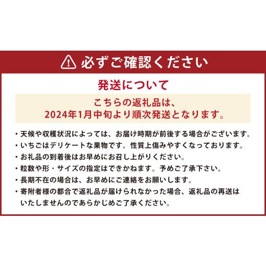 ふるさと納税 福岡県 筑後市 あまおう 贈答用 約1kg（約500g×2パック） いちご 果物 フルーツ 福岡県産