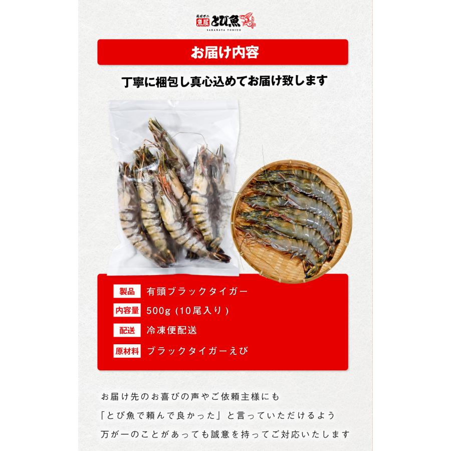 有頭ブラックタイガー 500g (約10尾) 1尾当たり18〜19cm 特大サイズ エビ 専門店・料亭の味 業務用 お徳用 送料無料