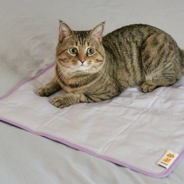 HEYDAY 2025 最新大尺寸 ! 粉嫩系多巴胺夏日涼感墊 (70x50cm)