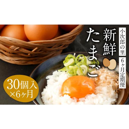 ふるさと納税 福岡県 嘉麻市 鶏卵 30ヶ入×6回 合計180個 たまご 福岡県産