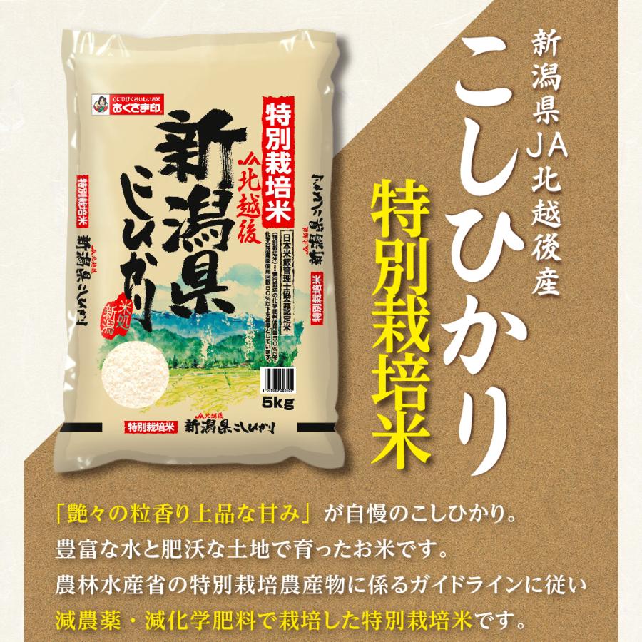 米 お米 米5kg 白米 送料無料 コシヒカリ 新潟県産 5kg おこめ 米5キロ お米5キロ 5キロ お米5kg 精米 単一原料米 令和5年産 新米 美味しい 高級 特別栽培米 特a