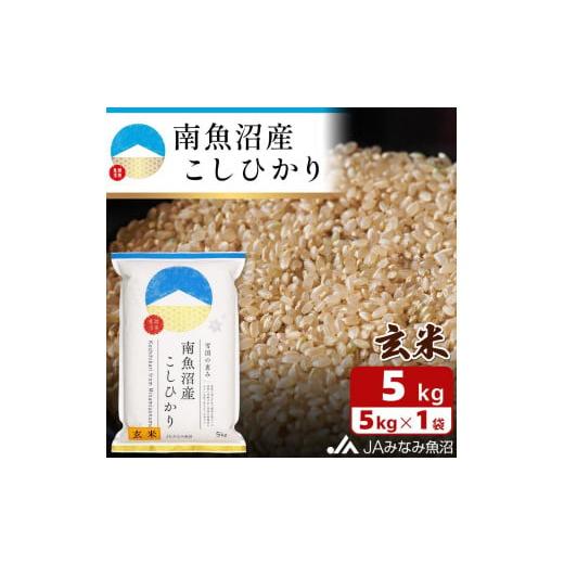 ふるさと納税 新潟県 南魚沼市 南魚沼産こしひかり玄米5kg