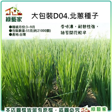 【綠藝家】大包裝D04.北蔥種子55克(約21000顆)(香味濃，耐熱性強，抽苔開花較早)蔥類種子