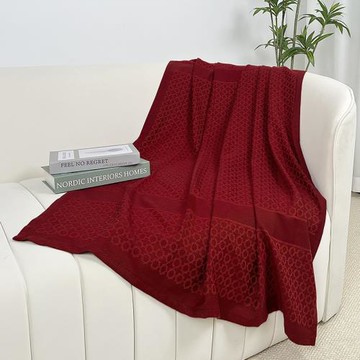 廠家批發新款夏季航空毯沙發蓋毯午睡毯輕奢毛毯四季通用空調毯