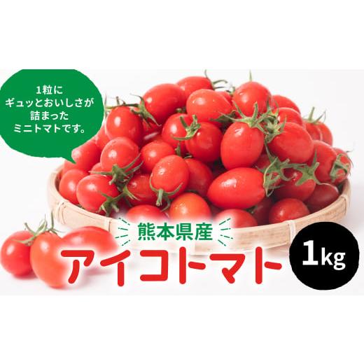 ふるさと納税 熊本県 八代市 産地直送 八代産 アイコトマト 1kg ミニトマト