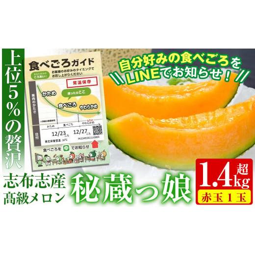 ふるさと納税 鹿児島県 志布志市 a5-130 数量限定！食べるタイミングがわかるメロン「秘蔵っ娘」赤玉(赤肉)1個