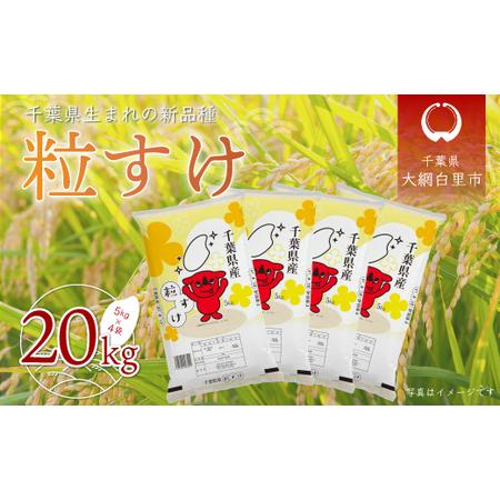 ふるさと納税 新米 令和5年産 千葉県産「粒すけ」20kg（5kg×4袋）   どっちのふるさと TV フジテレビ 新米粒すけ 令和5年産粒すけ 千葉.. 千葉県大網白里市