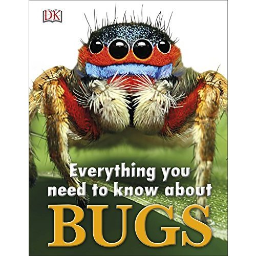 Everything You Need to Know About Bugs