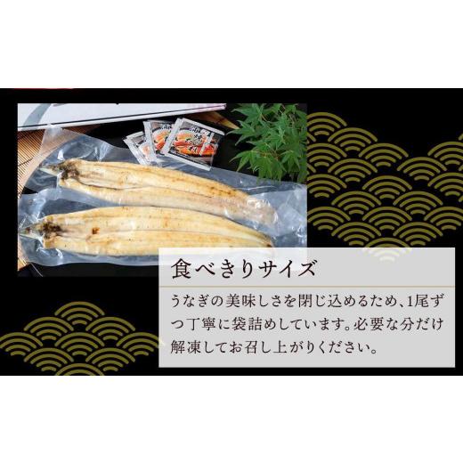 ふるさと納税 高知県 南国市 極上国産うなぎ四万十桜　白焼き3尾セット　食べきりサイズです