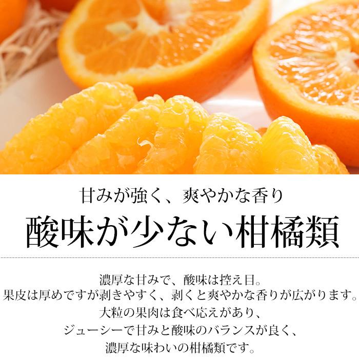 みかん 愛媛県産 伊予柑 訳あり 約10kg 2L〜3Lサイズ 30〜36個