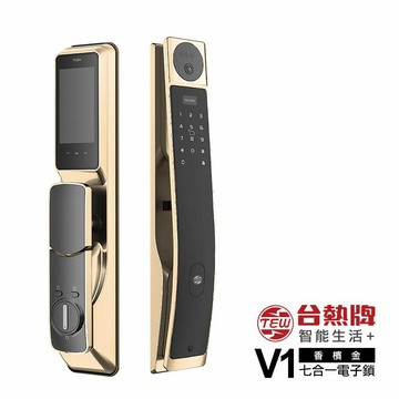 TEW 台熱牌 V1 人臉/指靜脈 智能7合1推拉式電子鎖 香檳金(密碼│卡片│鑰匙│APP遠端開門/含基本安裝)