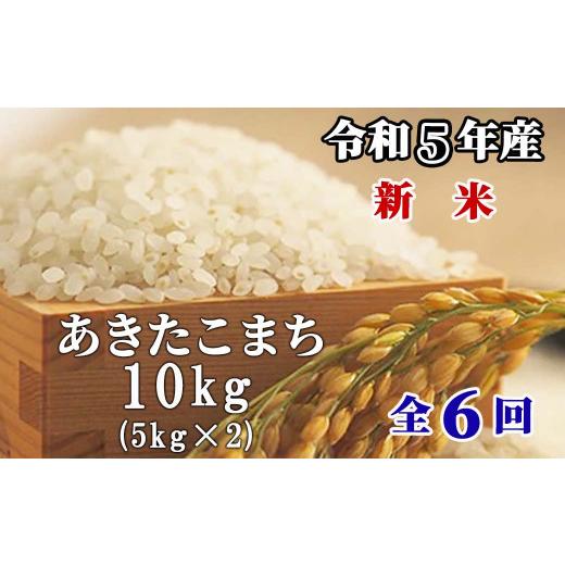 ふるさと納税 岡山県 西粟倉村 6回定期便】白米 10kg 令和5年産 あきたこまち 岡山 「おおがや米」生産組合 G-bg-CCZA