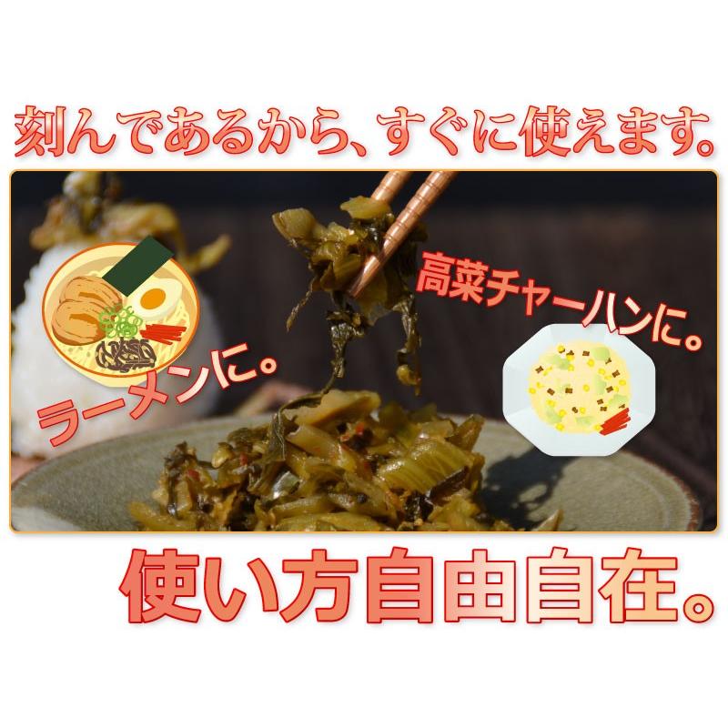 ＜からし高菜100g＞ 辛子高菜 たかな