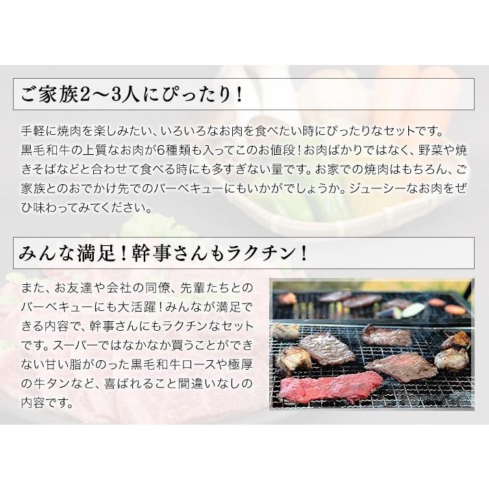 焼肉 セット 国産 国産牛 バーベキュー 肉 黒毛和牛 カルビ bbq 家族セット 600g