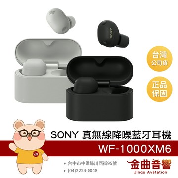 SONY 索尼 WF-1000XM6 旗艦 降噪升級 舒適貼合耳型 真無線 藍牙耳機 | 金曲音響