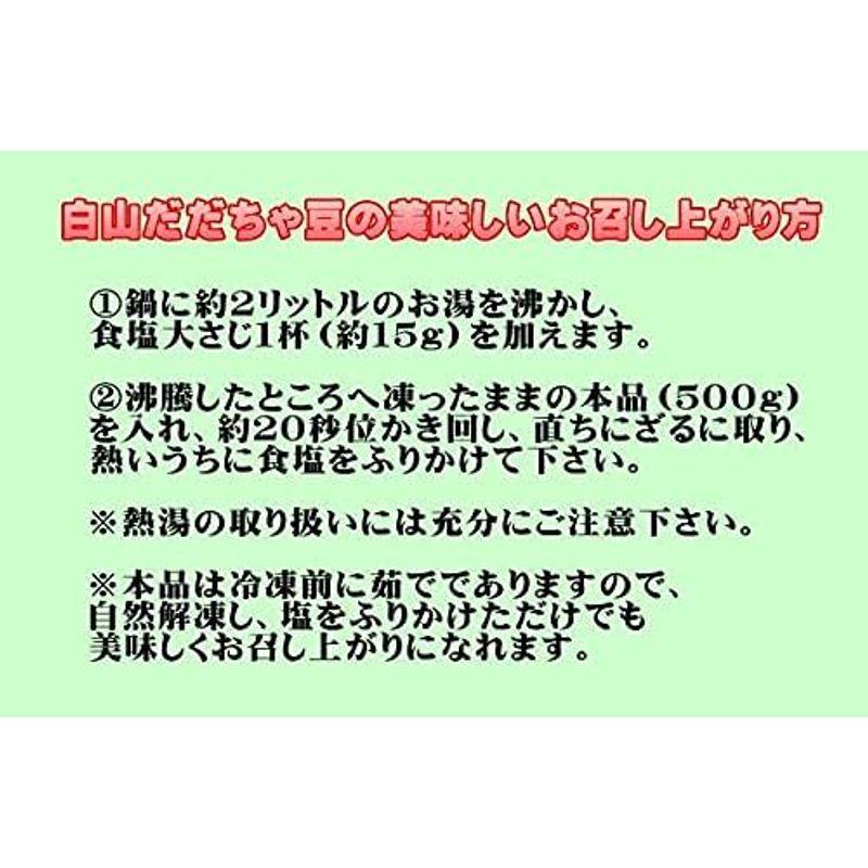 だだちゃ豆 白山産 1kg（500ｇ×2）冷凍 山形県鶴岡市