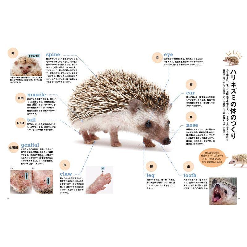 ハリネズミと暮らす本