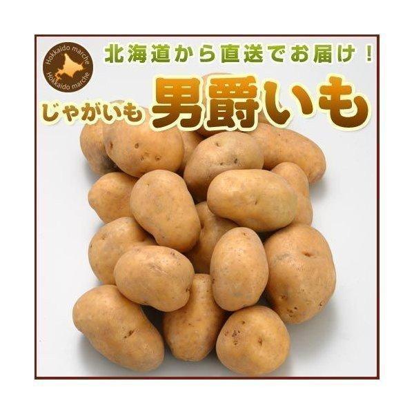 じゃがいも ジャガイモ 男爵 10kg 正品・LM L 2L混 （新じゃがいも） 野菜 北海道産 お礼 御祝  産直 内祝