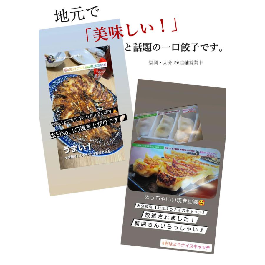 土下座餃子 博多ひとくち餃子 120個 (20個×6パック) 送料無料 餃子 ぎょうざ ギョウザ 冷凍 国産 福岡県産 博多一口餃子 博多名物