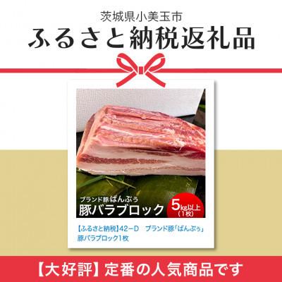 ふるさと納税 小美玉市 ブランド豚「ばんぶぅ」バラブロック1本