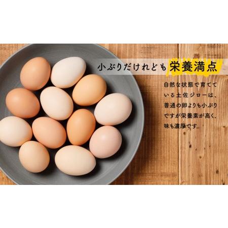 ふるさと納税 産みたて土佐ジロー卵（６ヶ入り×2パック）と高知の季節野菜セット 高知県高知市