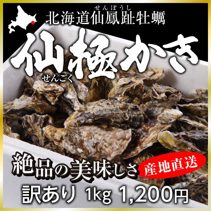 訳あり仙極かき　1kg