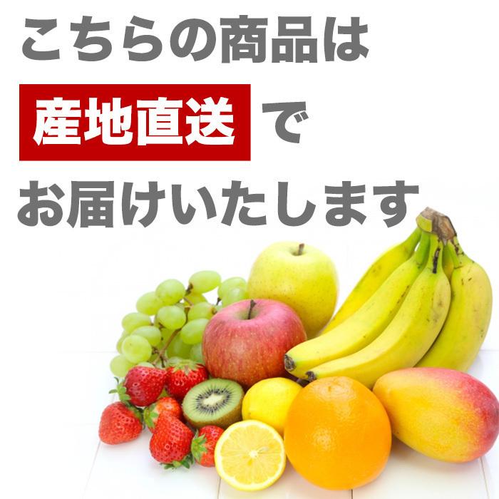 いちご 宮城県産 ミガキイチゴ ゴールド 12〜15粒