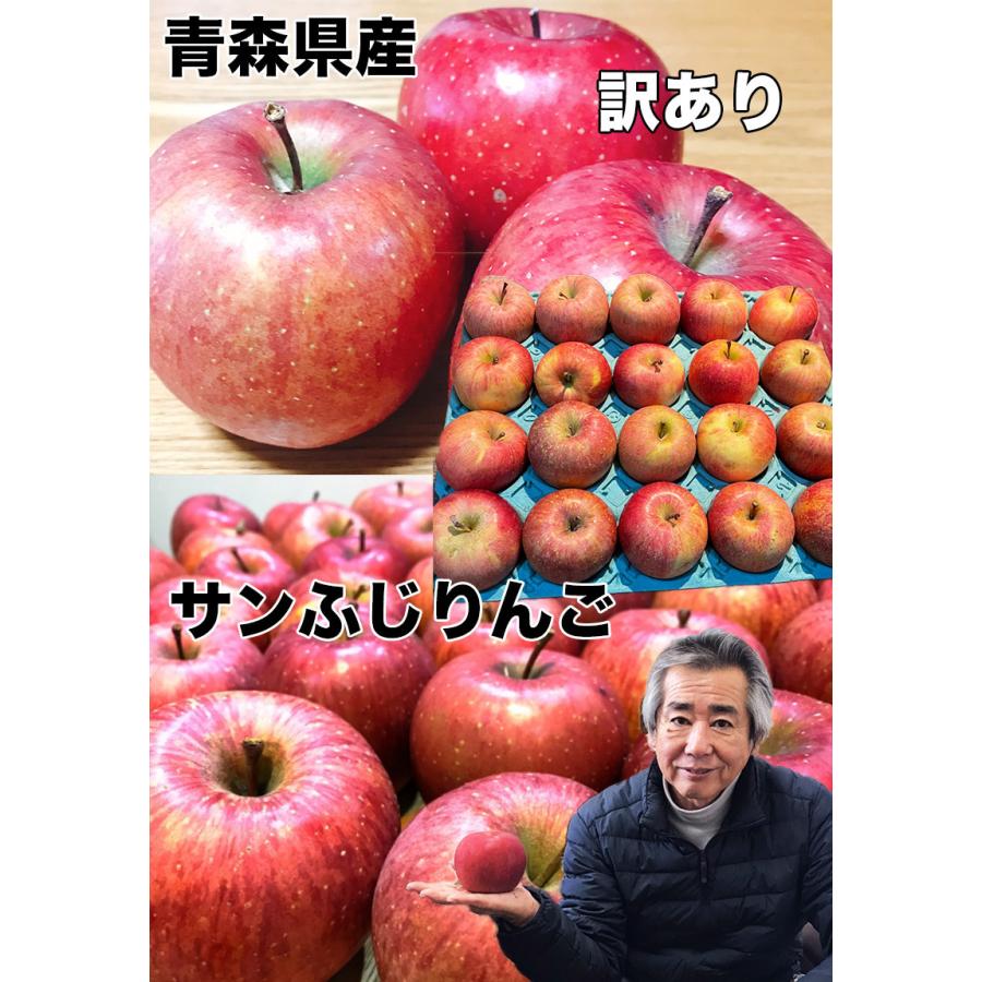 りんご 訳あり 10kg箱 青森県産 サンふじ りんご 10Kg前後 送料無料 糖度保証 りんご 訳あり 約10Kg 予約 11月上旬頃発送